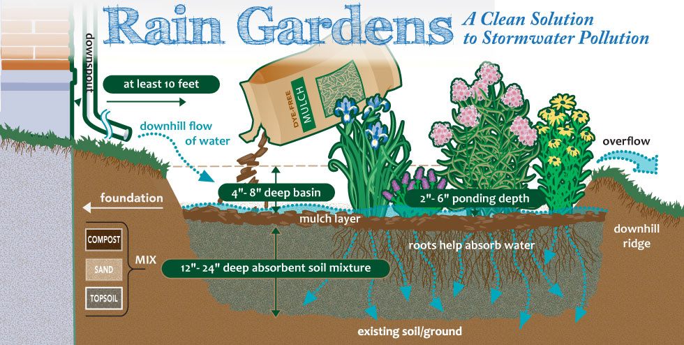 rain gardens design