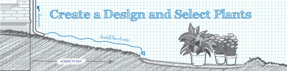 create design select plant drawing