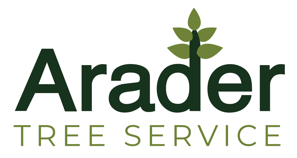 Arader_2color_logo (1)