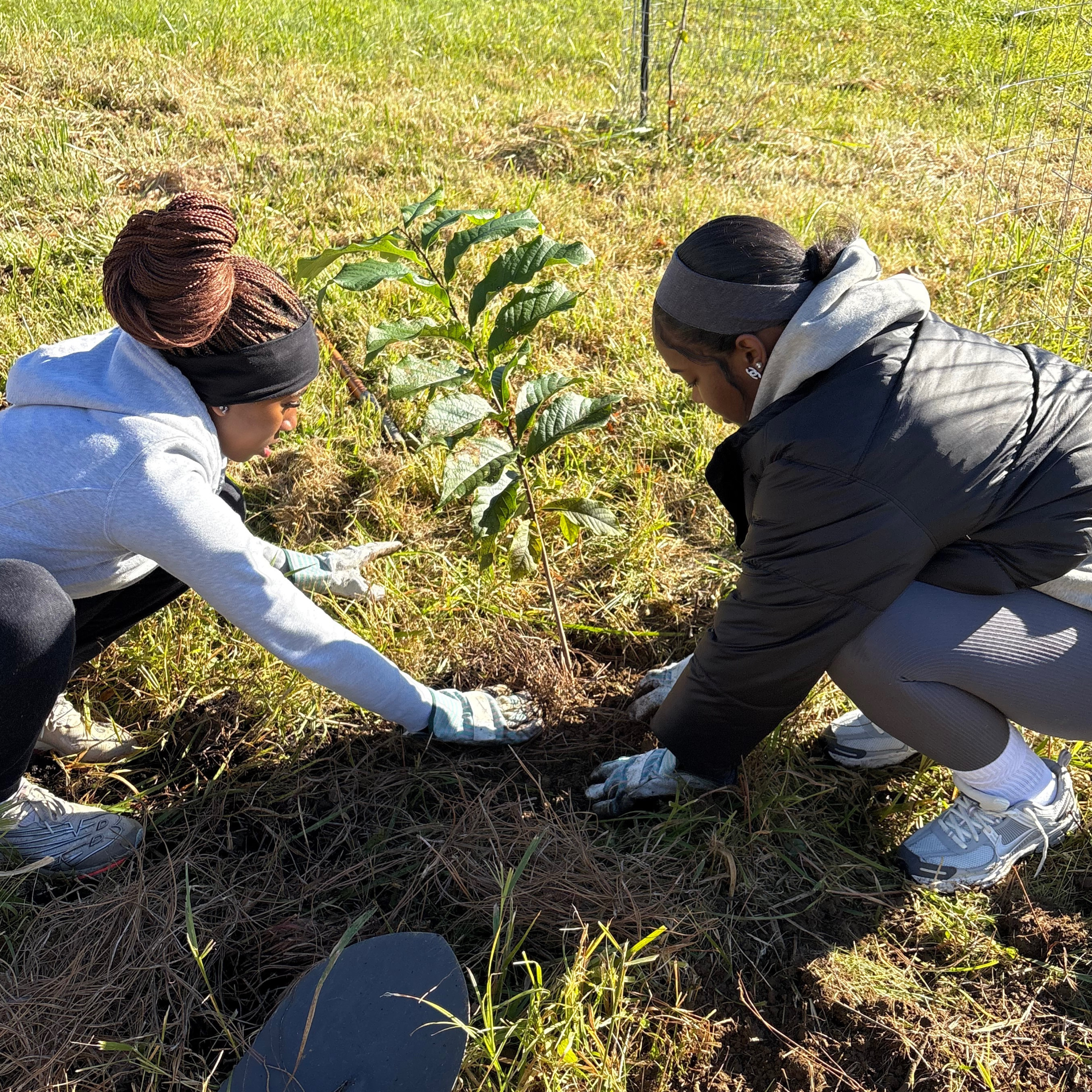Okehocking Planting Volunteers